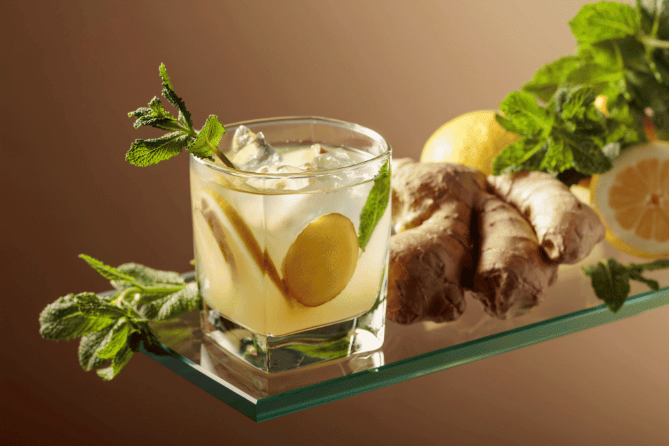 琴酒調酒-Gin and Ginger Ale