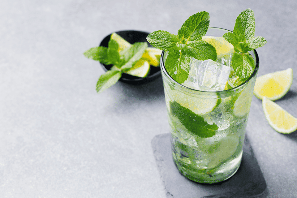 琴酒調酒-Gin mojito